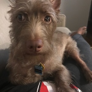 Tia Nina's avatar