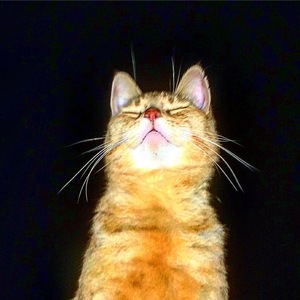 Rudy Jeffery's avatar