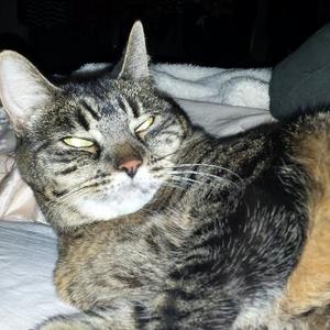 Kathleen Francis's avatar