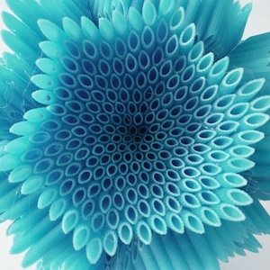 Tasha Zahnd's avatar