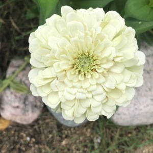 Jenna Linssen's avatar