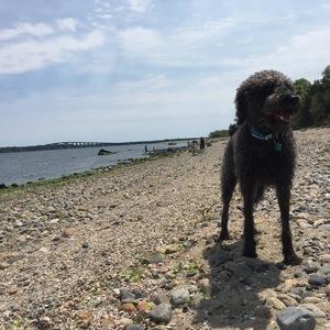 Ansley Ostiguy's avatar