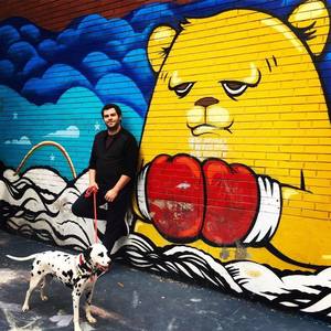 Daniel Beyer's avatar