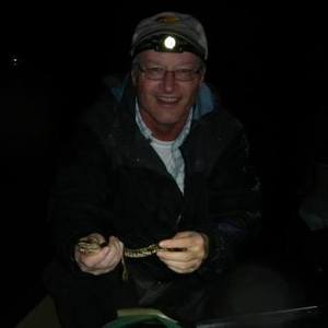 Stephen Mitten's avatar