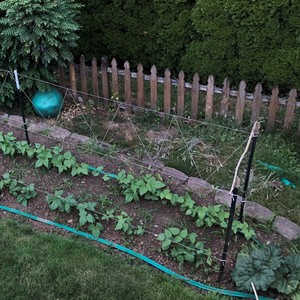 Cindy Ulshafer 's avatar