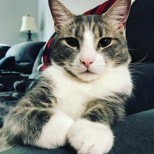 Bonnie Gradner's avatar