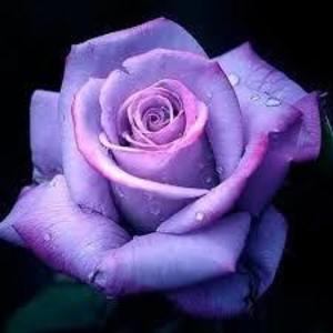 Candislee Acevedo's avatar