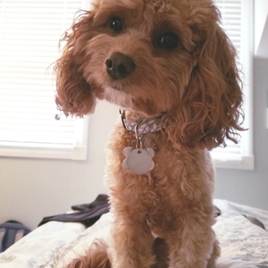 Kyle Jepson's avatar