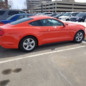 Shawn Casson's avatar