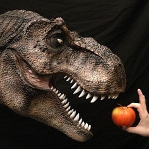 Zhasmene Bowles's avatar