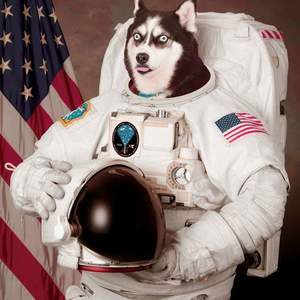 Brett Modica's avatar