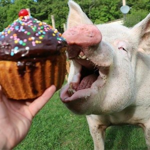 Andrea Malchiodi's avatar