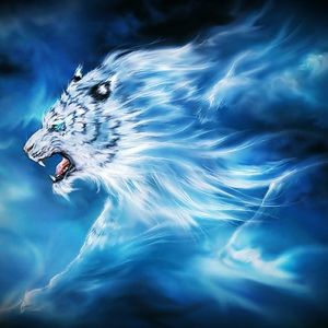 Darwin Glynn's avatar