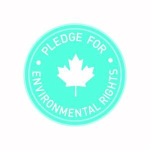 Elizabeth S.'s avatar