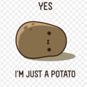 Chrissy  Gildersleeve's avatar