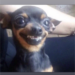 Gianna Cuevas's avatar