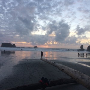 Lauren Kelly's avatar