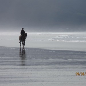 Joan Laurie's avatar