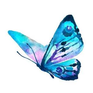 Bridgette Favale's avatar