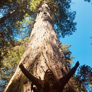 Valeria Ferrufino's avatar