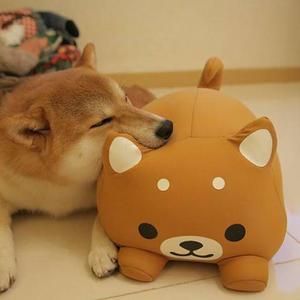 Kathy Chavarria's avatar