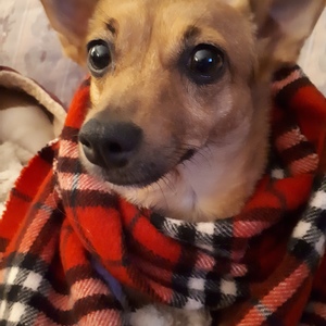 Sandy B's avatar