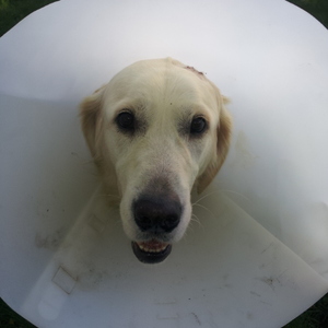Penny Best's avatar