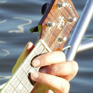 Donna Nestler's avatar