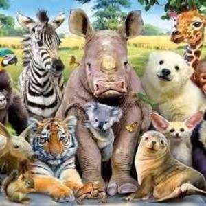 Leslie Pingree's avatar