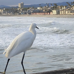 Vicki Zarrell's avatar