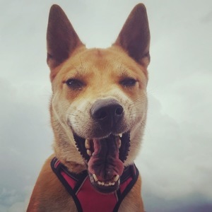 Natalia Igua's avatar