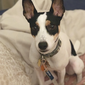 Veronica Beaupre's avatar