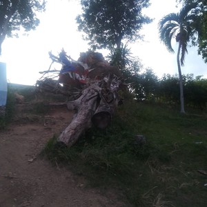 Nahomy  Betancourt 's avatar