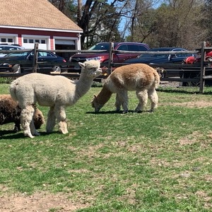 Molly Griffin's avatar