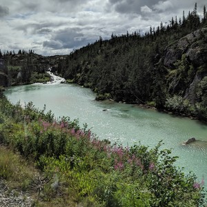 Regan Reding's avatar