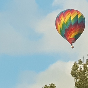 Maria Lenartowska's avatar