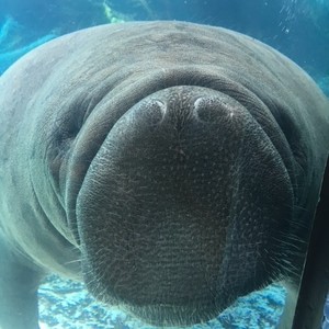 Jill Conaway's avatar