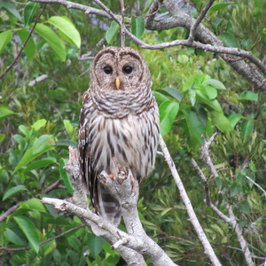 Franz Schuttenhelm's avatar